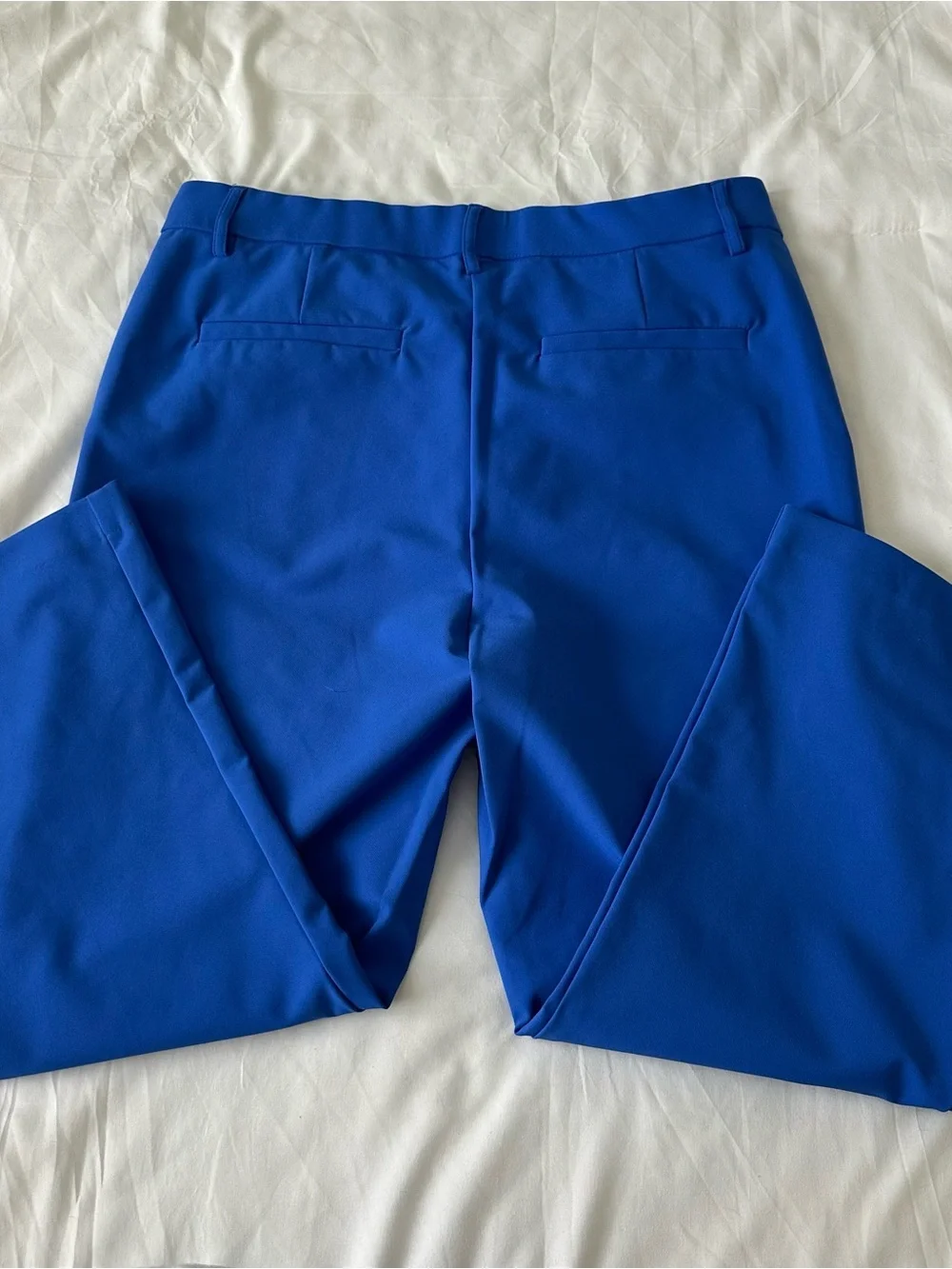 Women's Royal Blue Tailored Pants